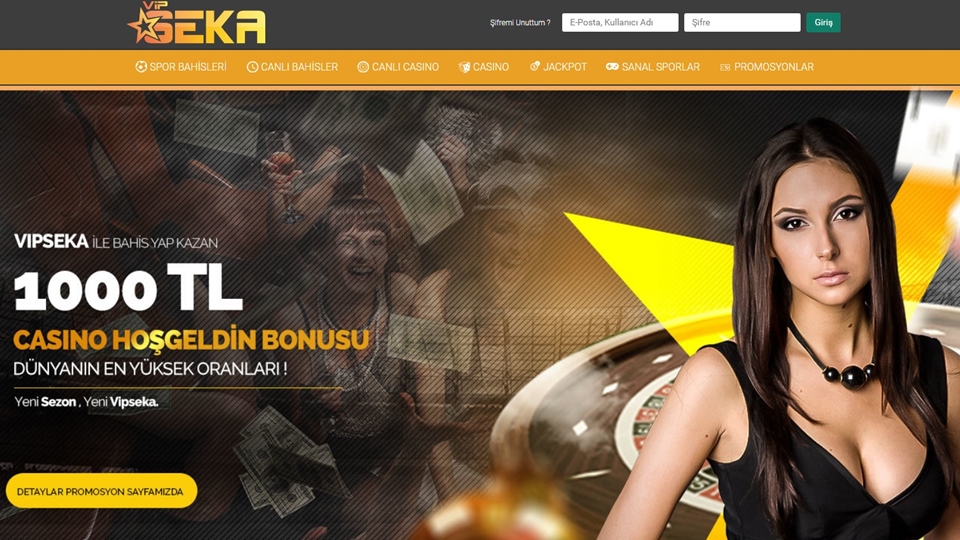 vipseka web sitesi giriş sayfası